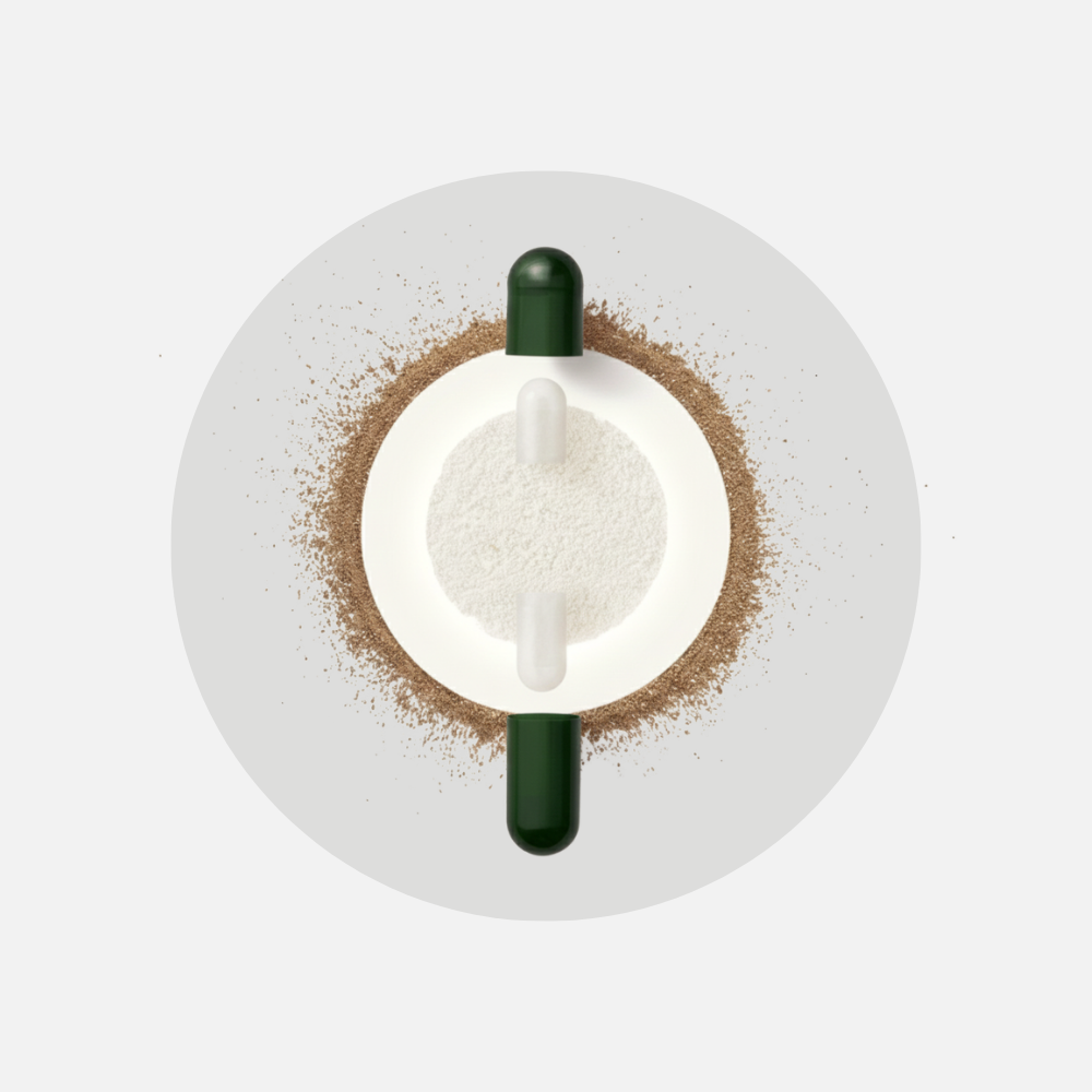 Cutaway view of the capsule-in-capsule design: a green prebiotic outer capsule surrounding the probiotic inner capsule
